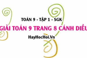 Giải Toán 9 trang 8 tập 1 Cánh Diều SGK